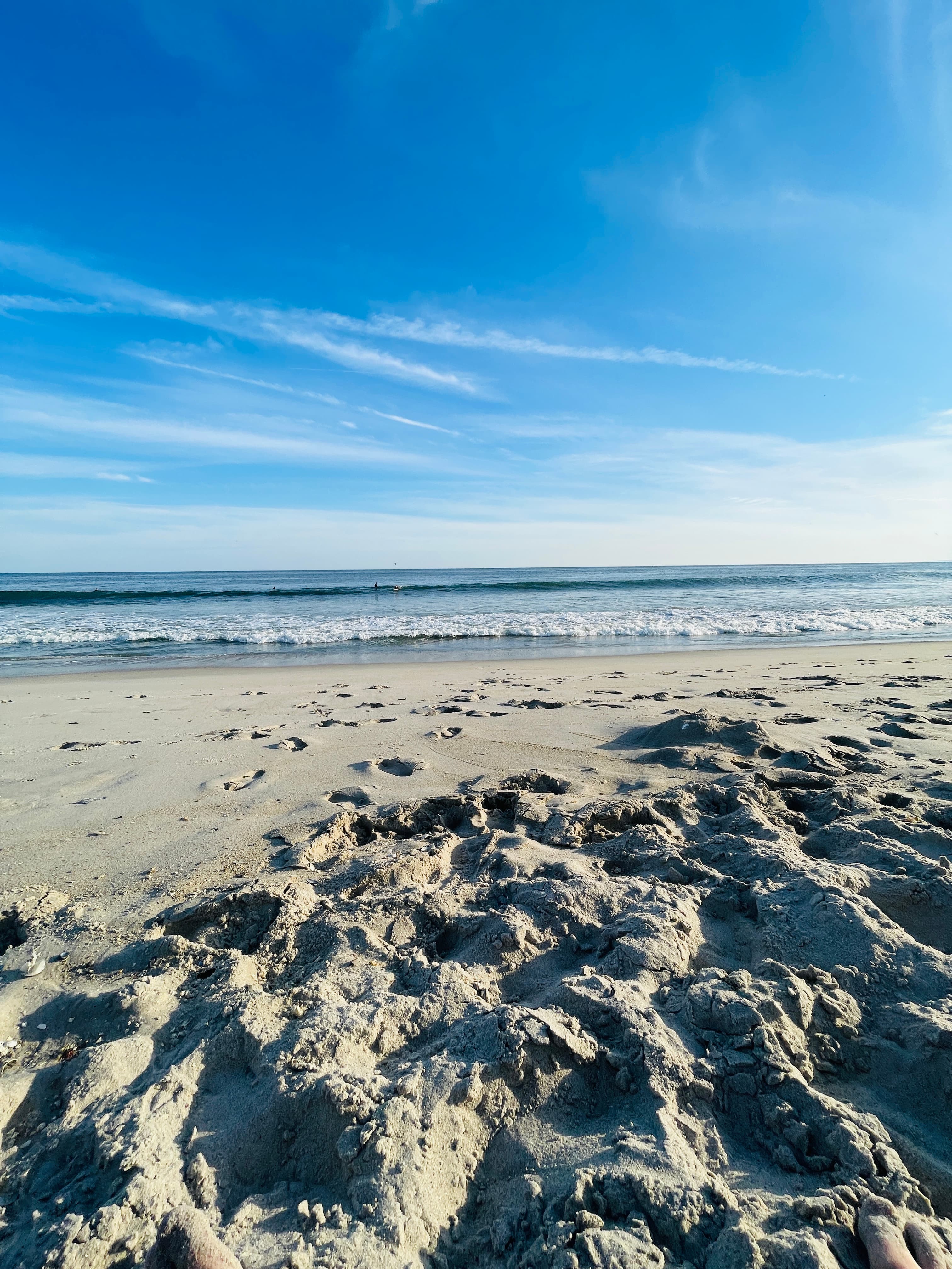 Jayson siegel banner